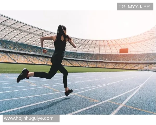 杭州排球队的崛起之路联合会杯背后的奋斗与荣耀