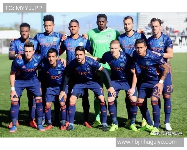 纽约足球明星全景介绍与成就汇总大全