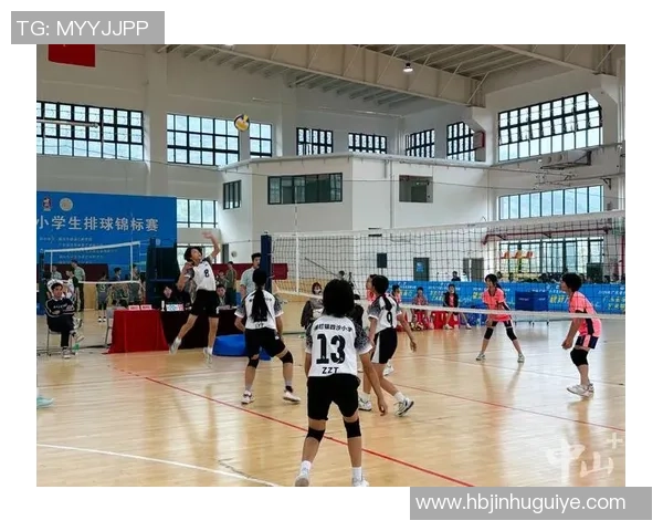 南京排球队心理素质提升之路：热议排球背后的心灵变革与团队协作