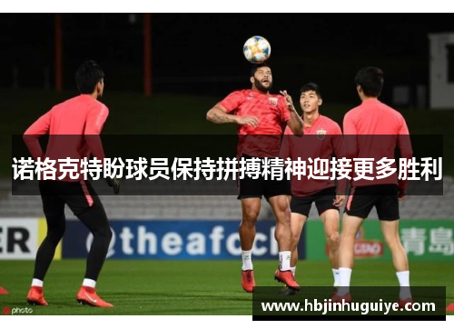 诺格克特盼球员保持拼搏精神迎接更多胜利