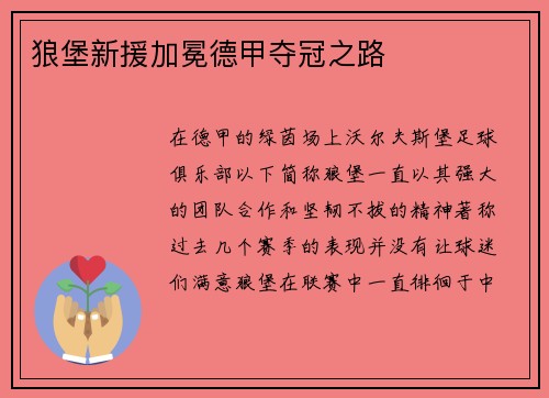 狼堡新援加冕德甲夺冠之路